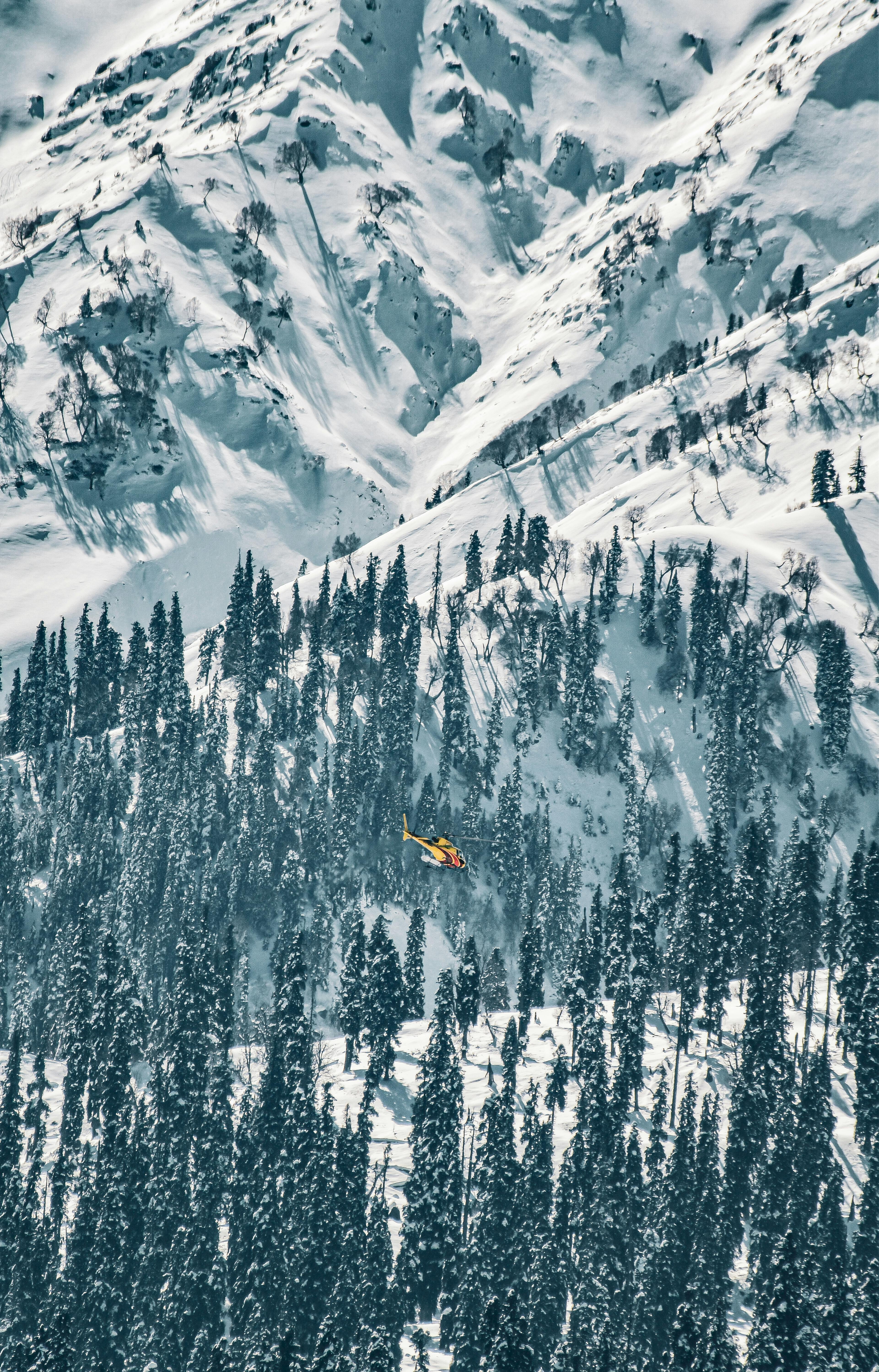 Chiens de traîneau à travers les forêts enneigées Auron Mercantour